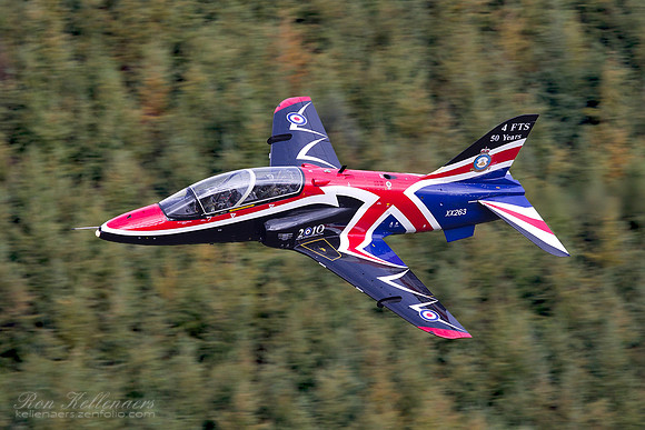 2010 Solo Display Hawk
