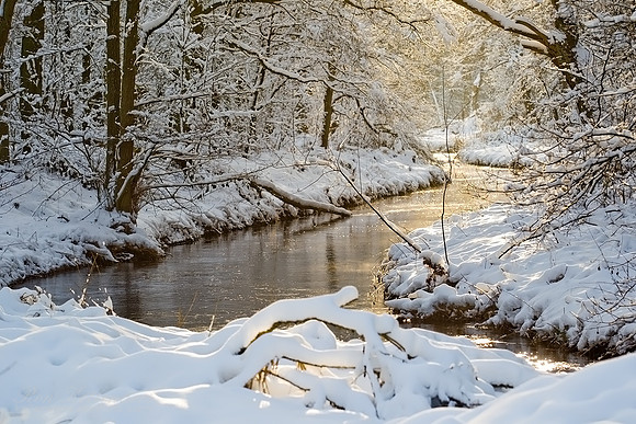 "De Hamert", The Netherlands