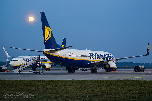 In the moonlight